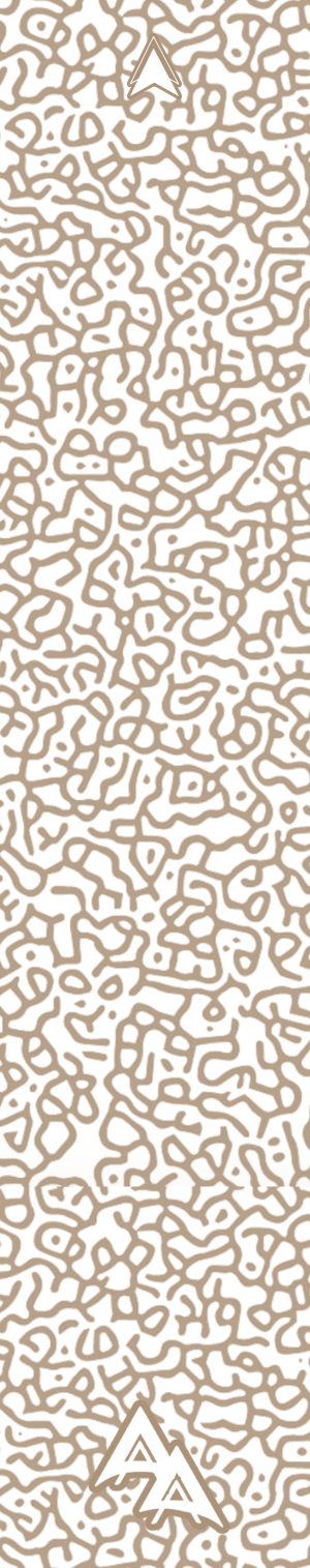 BRAIN TOPO SERIES ARROW WRAPS - EARTH
